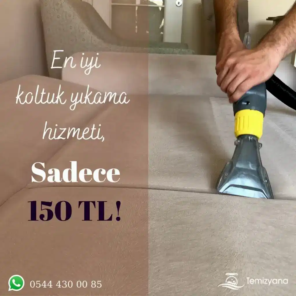 koltuk yıkama